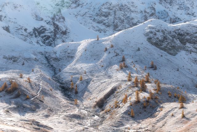 Col du Lautaret